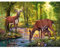 DIY 5d Diamant Peinture par numéro kit, Broderie Diamant kit Complet cerf Strass à broder au point de croix Arts Craft sur toile Décoration 40X30cm