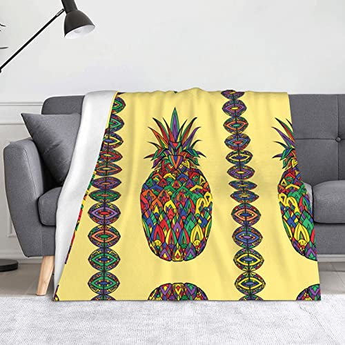 HAHAFU Regenbogen-Ananas-Überwurfdecke, Picknickdecke, bedruckt, warm, saugfähig, Decke für Bett, Couch