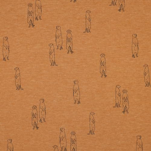 Stoff Meterware Kinderstoff Jerseystoff - 1 Meter, Jersey, Nähen, Kinder, Baby, Jungen, Mädchen, Bekleidung, Shirt (Erdmännchen Camel)