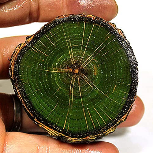 Aibote Bloc de bois de hêtre stabilisé avec poignées en grain, poignée en matériau pour lames vierges, poignée pour la fabrication de couteaux (chacun est unique) (vert, diamètre (6 cm ~ 7 cm)