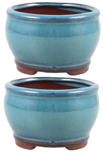 Yardwe 2 Piezas Planta Suculenta En Maceta De Espárragos Maceta De Cactus Maceta Pequeña Maceta De Escritorio para Suculentas Plantador De Cactus Maceta Decorativa Arcilla Morada