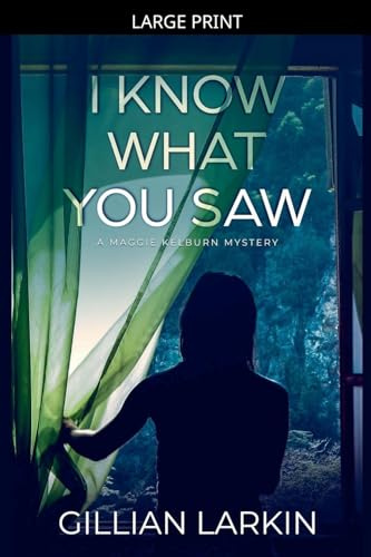 I Know What You Saw (A Maggie Kelburn Mystery, Band 1)