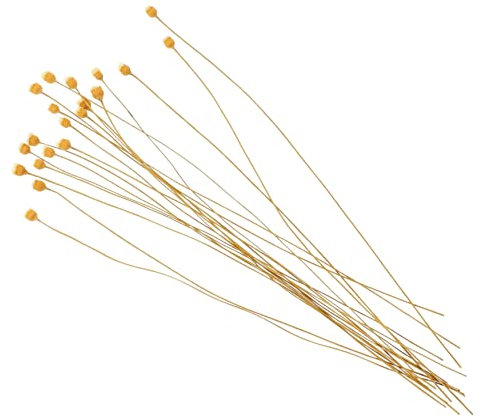 MUSISALY 20 Stück Rattan-blattstäbe Diffusor Diffusorstäbchen Für Trockene Blumen Diffusor Blumenstäbe Schnelle Duftabgabe