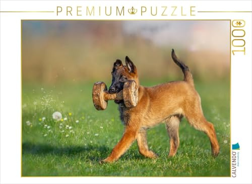 CALVENDO Puzzle EIN Motiv aus dem Kalender Traumhund Malinois | 1000 Teile Lege-Größe 64 x 48 cm Foto-Puzzle für glückliche Stunden