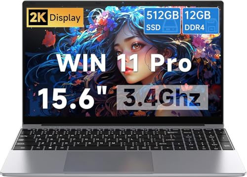 Portatile PC Computer 15,6 Pollici, Win 11 Pro, Notebook 12GB LPDDR4 512G SSD, Celeron N100 Fino a Upto 3,4GHz Laptop, FHD 1920x1080, WiFi a doppia banda 2.4G/5G, BT4.2, 4K Video, Type-C, 7.6V/6500mAh
