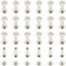 CEEYSEE 100 Pezzi (50 set) Viti Per Rilegatura M5x15mm Viti Chicago Vite a Testa Piatta Rivetti Vite Viti Rilegatura Kit Per Decorazione in Pelle, Album e Fai Da Te (M5 x 15mm)
