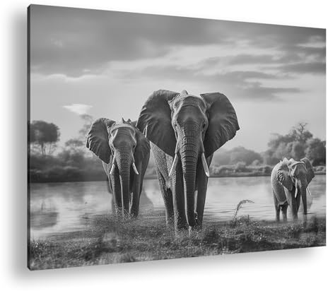 Leinwandbild Elefanten im Sonnenuntergang, Wasserreflexionen Format: 120x80 cm Effekt: Schwarz&Weiß XXL Kunstdruck Bild auf Keilrahmen/Wandbild/Wohnzimmer Deko