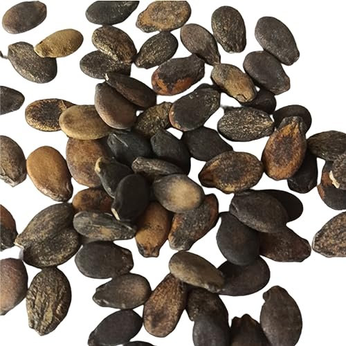 kiskick Wassermelonen-Samen Rustikale,1-Beutel- saftige gemischte Farbe Wassermelonen-Fruchtsamen für Bauernhof Weiß Wassermelonenkerne