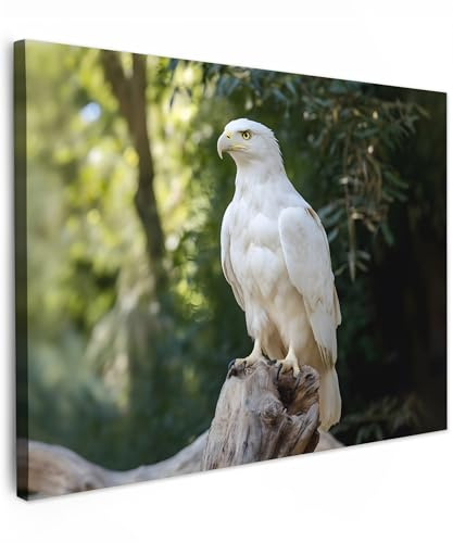 MuchoWow© Leinwand Bilder 80x60 cm Wanddeko Wohnzimmer Aesthetic Room Decor Deko Zimmer Wandbilder Modern Bild auf Leinwand Adler - Holz - Weiß - Pflanzen