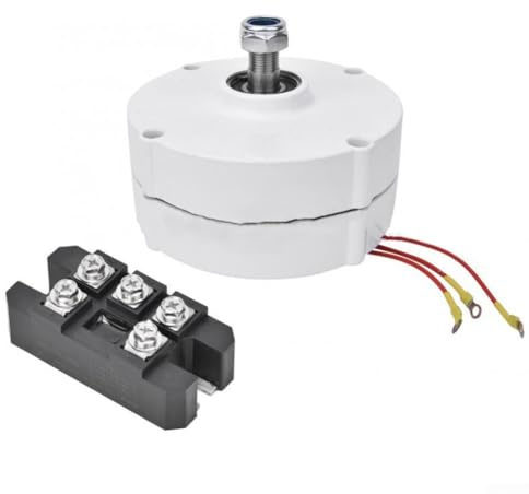 Yhenlovtt Generatore elettrico a bassa velocità 24V 12V 48V Cambio trifase per turbina di acqua eolica (200W 24V)