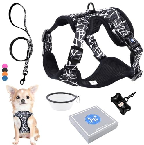 Geschirr und Leine für Hunde, Welpen, Katzen, Harnai, verstellbar, Original, Zugentlastung, Geschenkbox für sehr kleine Hunde wie Chihuahua, ideales Gewicht 1,2 – 3 kg (XS Schwarz, Set für