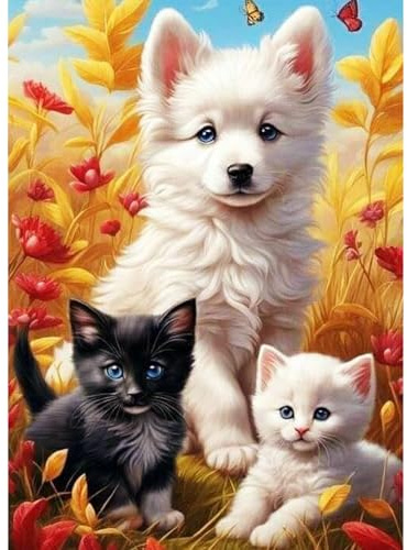 QENSPE 5D Diamond Painting Katzen Komplett, Hunde Diamond Painting Set für Erwachsene, Tier Diamond Art Malerei DIY Diamant Kunst Handwerk für Anfänger Wand Dekor 30x40 cm