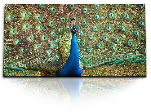 Paul Sinus Wandbild 120x60cm Pfau – Majestätische Farbenpracht und Eleganz. Pfau in voller Pracht, mit seinen beeindruckenden, farbenfrohen Federn.
