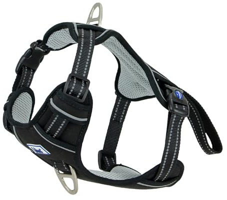 Ancol Viva Exercise and Travel Dog Harness in Black - Comfortable Pet Accessory with Padded Chest and 2 Leash Clips - Medium 45-65cm