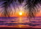 PICSonPAPER Poster Sonnenuntergang Palmen, 100 cm breit x 70 cm hoch, Dekoration, Kunstdruck, Wandbild, Fineartprint, Strand, Sommer, Karibik, Palmen, Premium Qualität
