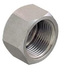 Nautica DDR srl Tappo F (Femmina) in Acciaio Inox - Raccorderia per Idraulica - Giardinaggio Barca Impianto Idraulico (1 1/4)