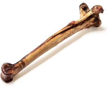 Natural Treats Long Ostrich Metatarsus Bone (1pc) Low Fat Dental Dog Treats