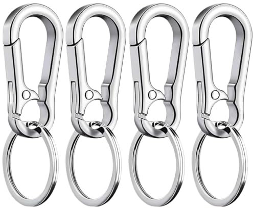Heanvmyss Mousqueton Porte Clé,4 Pièces Porte Clés en Métal Robuste,Petit Mousqueton Multifonction,Porte Clé Amovible pour Clé de Voiture,Sacs à Dos,Camping,Voyages(Argent)