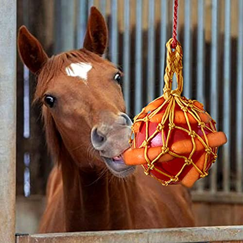 vomvomp Pferd Karottenfutter Spielzeug hängende Karotte Fütterung Spielzeug für Pferd Stall Ruhe