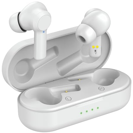 Walk Audio True Wireless Earphones with Charging Case – In-Ear Wireless Headphones, Bass Boost, Built-in Mic, TruSound Technology, Includes Cleaning Kit