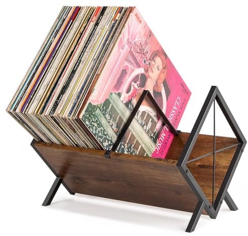 PUERSI Schallplatten Aufbewahrung, 80 LPs Schallplattenständer, 1 Etage Vinyl Regal mit Verstellbarer Trennwand, Vinyl Schallplatten Zubehör, Organisator für CD, Alben, Zeitschriften, Buch - Braun