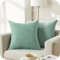 Topfinel Kissenbezug 40x40 cm Mintgrün 2er Set Flauschig Chenille Deko Wohnzimmer Kissenbezüge Kissenhülle Sofakissen Dekokissen Kuschelkissen Zierkissen Für Sofa Bett Garten Balkon Kinderzimmer