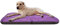 millybo ECO Hundematratze, Hundebett für Kleine, Mittlere, Große Hunde - wetterfestes Hundekissen, kuscheliges Schaum Tierbett, Outdoor & Robustes Hundematte - 90x60x8 cm Lila