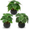 Briful Set of 3 Small Fake Plants in Ceramic Pot, Monstera Faux Potted Plants, Pilea Artificial Plants Scindapsus Aureus Plants Artificial for Home Kitchen Bathroom Decor