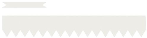 vidaXL Clôture Bordure Jardin en Plastique Blanche | Résistante aux UV et Durable | 20 Pièces de 100X0,5X15 cm