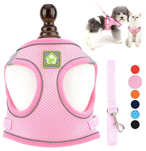 Ranphy Hundegeschirr Kleine Hunde mit Leine Welpen Verstellbar Reflektierend Haustier Katzen Weiches Netzgewebe Mesh Leichtes Gepolstert Training Weste Brustgeschirr Ausbruchsicher Rosa XS