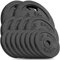 Hop-Sport Gusseisen Hantelscheiben Set 30 kg (2 x 5 kg, 2 x 10 kg) mit 31 mm Lochdurchmesser, ideal für Standard 30mm Langhantelstangen, Robuste Gewichtsscheiben für Fitness- und Krafttraining