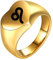 PAMTIER Herren Edelstahl 12 Sternzeichen Ring runde Siegelringe mit Horoskop Sternzeichen Löwe Gold Größe 68