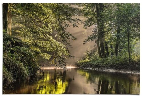 REINDERS Poster, Lichtspiel am Waldsee, Wohnzimmer, Poster, Wanddeko, Room Decor, Bilderdruckpapier, Grün, 61 x 91,5