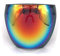Oversized Huge Full Face Polarized Large Mirror Sunglasses, Stylish Full Cover Transparent Glasses Face Visor for Mouth and Nose PVC Plastic Clear Mask Face Shield Reusable,for Women Men (Red)