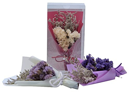 Egurs 3 Stück Mini Bouquet Natürliche Getrocknete Blumen Vergissmeinnicht trockenblumen Blumenstrauß für Foto Requisiten Geburtstags Party Dekoration Hochzeit Ornament