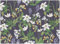 Ekelund - Tischsets (2er Set) Spring 35x48 cm 100% Baumwolle