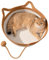 Gewebter Katzenkorb, Katzenbett, Seil, gewebter Korb, niedliches Katzenbett für Katzen und Kätzchen, Baumwollseil, Hundebett mit Griff, kratzfest, atmungsaktiv, faltbares Haustierbett, Katzennest,