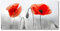 Tulup Splashback 39.37x19.68 inch / 100x50cm Glass Panel Wall Protection Induction Cooker Tempered Glass Toughened Safe Glass Kitchen Panel Splash-back Kitchen - Red - poppies