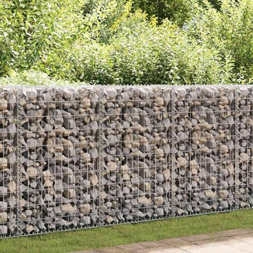 Gabion Wall, galvaniserad stål 600x30x100 cm med lock för trädgård