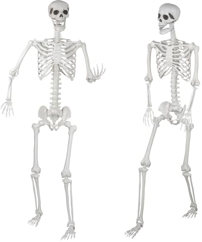 SIFOEL 180cm Halloween lebensgroßes Skelett posierbare Ganzkörperskelette mit beweglichen Gelenken für Halloween-Requisiten gruselige Party-Dekoration (180-2P)