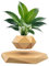 Pot de fleurs en lévitation magnétique flottant pour décoration de bureau à domicile