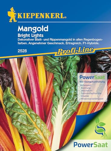 Kiepenkerl Profi-Line Mangold Samen Bright Lights, PowerSaat – Bunte Mangold Gemüse Samen, Leuchtend Bunte Blattstiele, Resistent gegen Fröste – Saatgut für Balkon, Garten & Gewächshaus