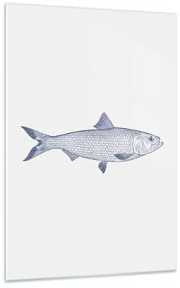 Bilder auf Glas 70x100cm Glasbild Fisch Meerestier Küstenstil Groß Wanddeko Bild im Glas Schlafzimmer Küche Deko Wandbilder Dekoration Wohnzimmer Modern Wall Decor Wand Kunstdruck Art GPA70x100-5383