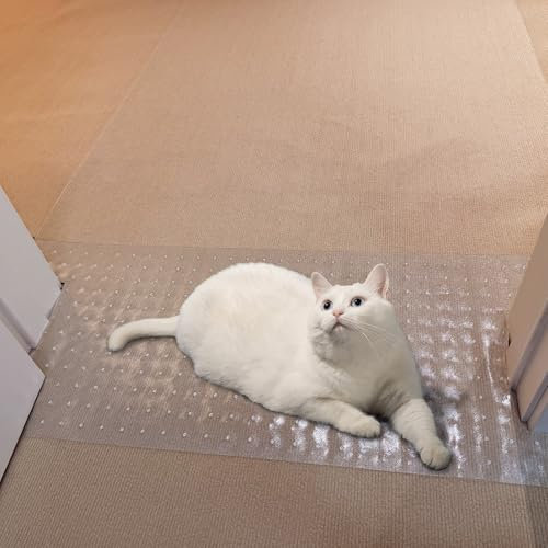 Cat & Dog Scratch Protector Mat - 3.6FT Anti-Scratch, Non-Slip, Easy Cut Carpet Guard for Under Doors - Clear, 1 Piece