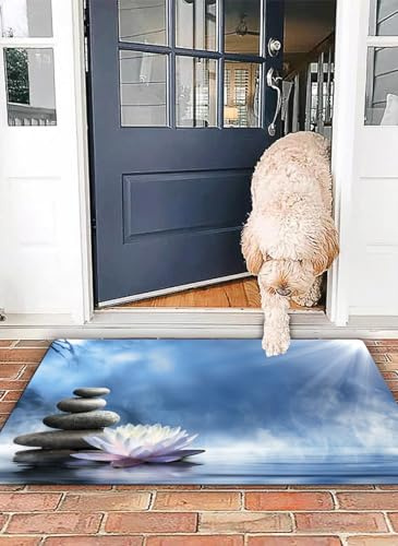 OHJEAJDS Badezimmerteppich rutschfest Badematte 40x 60 cm,Badteppich Saugfähig Weich Maschinenwaschbar für Badezimmer,Reinheit in der Zen-Massage