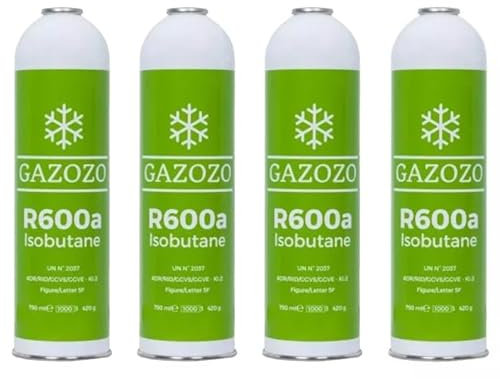 Lot de 4 bouteilles de gaz isobutane R600A R600 - Pour friteuse - Fabriqué en Italie - 420 g