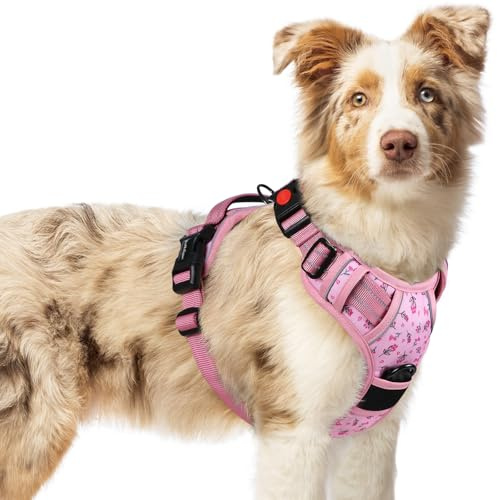 rabbitgoo Hundegeschirr Mittelgroße Hunde Leichtes Anlegen, M, Blume Rosa | Anti Zug, Ohne Kopfdurchzug, Halsverschluss mit Sicherung, 2 D-Ringe, Weich Gepolstert, Reflektierend für Gassi & Training