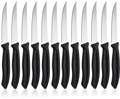 hunnycook Steakmesser 12 Stück, Wellenförmiger Tafelmesser mit Wellenschliff, Frühstücksmesser set aus Edelstahl, Steakmesser set für Haus und Restaurant, Spülmaschinenfest