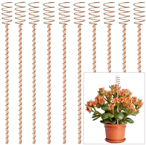 10 Pack 17'' Electroculture Plant Stakes