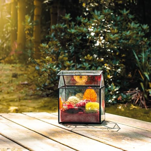Pflanzenglas Kleines Haus aus Glas mit Deckel - Pflanzenterrarium - Kleines Gewächshaus - 17 x 14 x 20 cm Farbe Haus mit LED-Licht